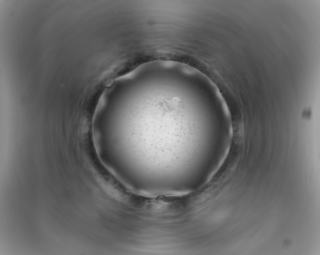 X0000091000472200708161941