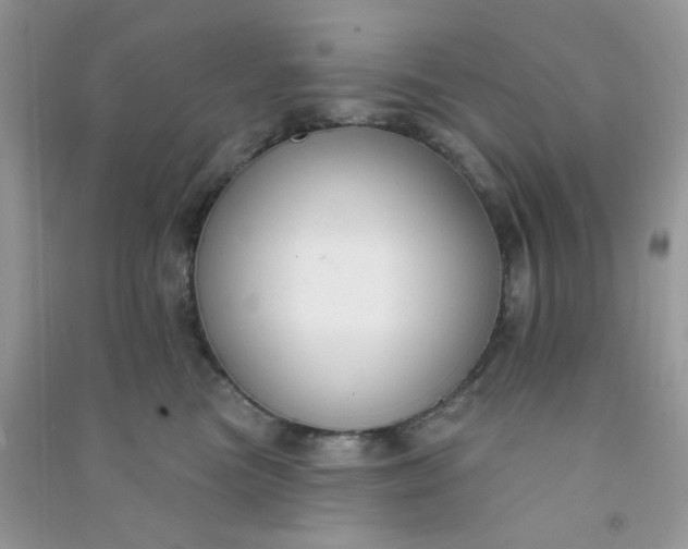 X0000091000473200708161942
