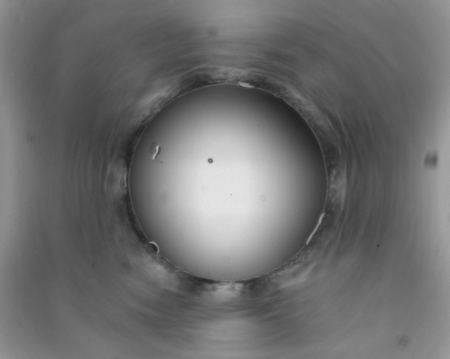 X0000091000474200708161942