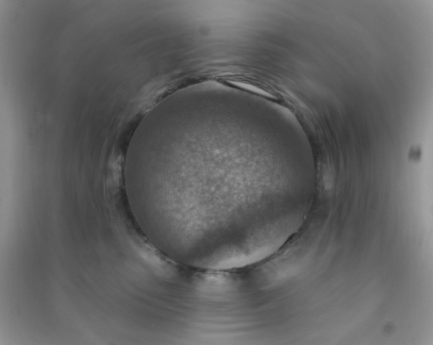 X0000091000475200708161942