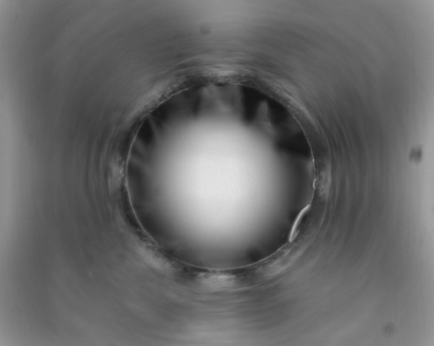 X0000091000476200708161942