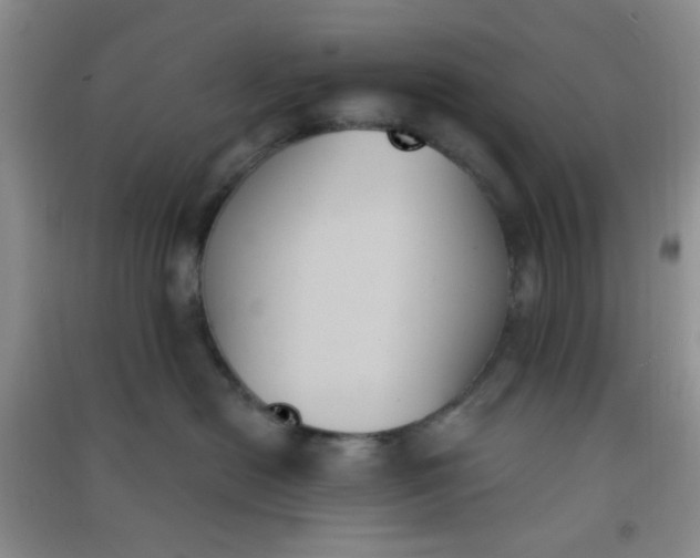 X0000091000478200708161942