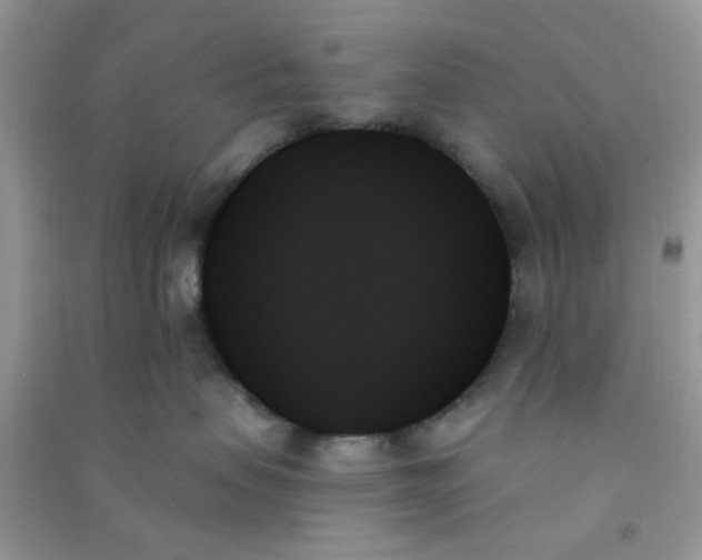 X0000091000479200708161942