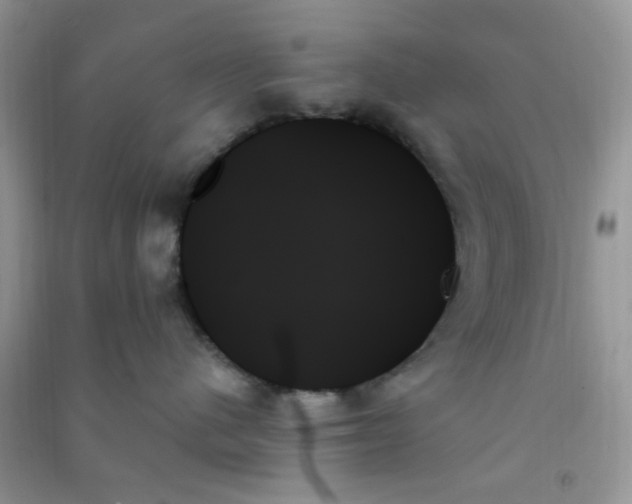 X0000091000480200708161942