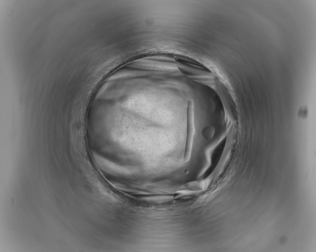 X0000091000481200708161941