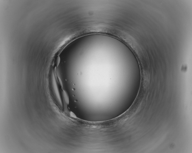 X0000091000482200708161941