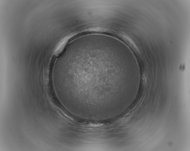 X0000091000484200708161941