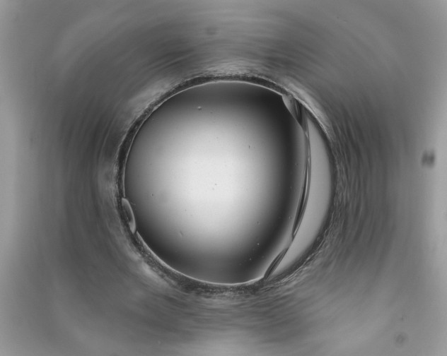 X0000091000485200708161941