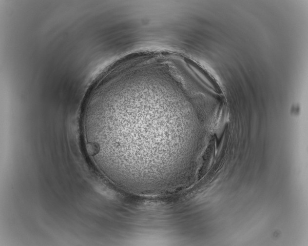 X0000091000487200708161941