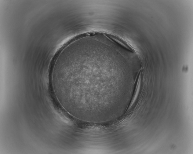 X0000091000488200708161941
