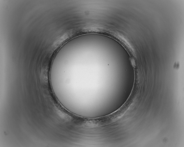 X0000091000489200708161941
