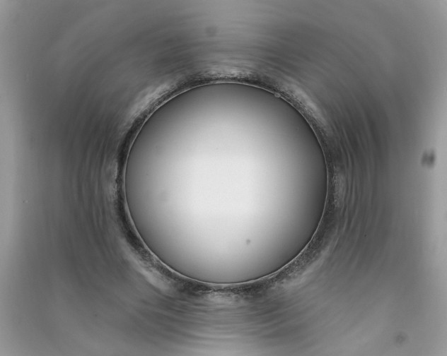 X0000091000490200708161941