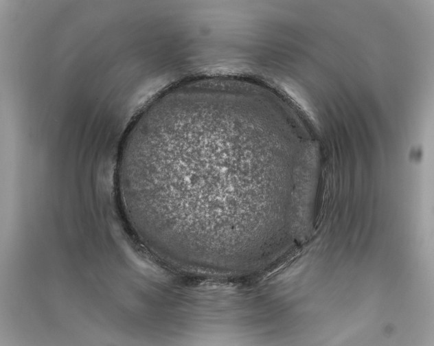 X0000091000491200708161941
