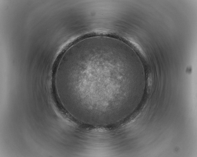 X0000091000492200708161941