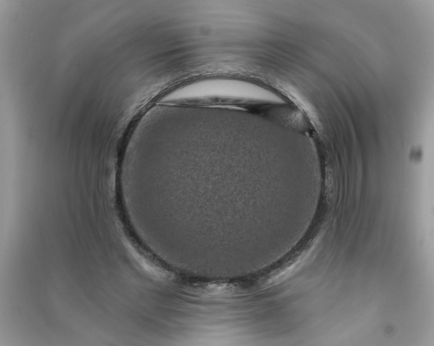 X0000091000493200708161941