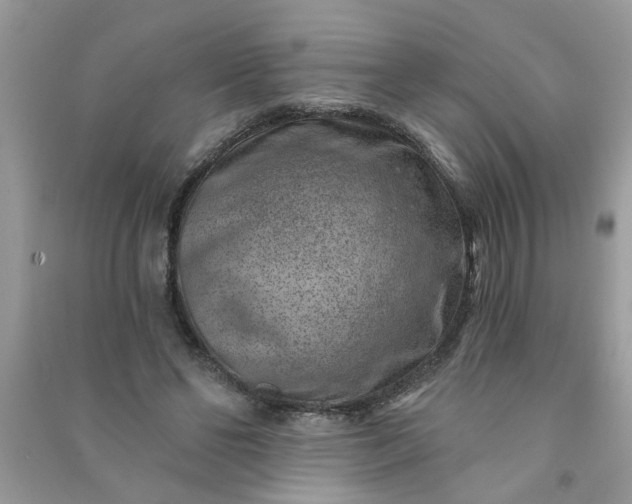 X0000091000494200708161941