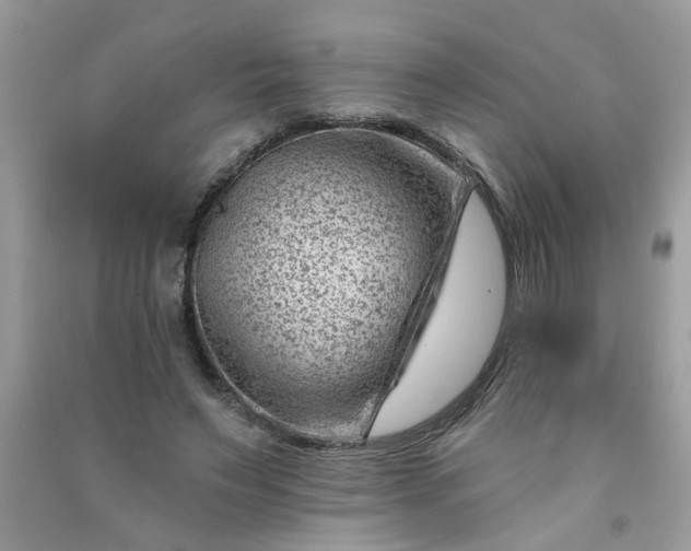 X0000091000495200708161941
