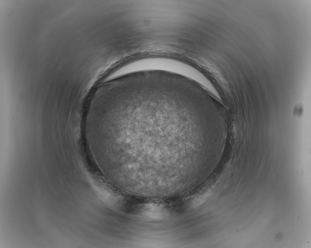 X0000091000496200708161941