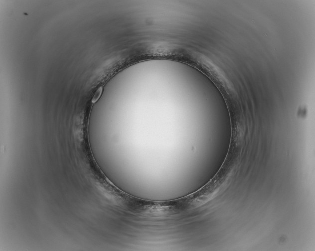 X0000091000497200708161941