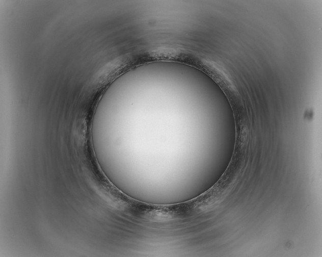 X0000091000498200708161941