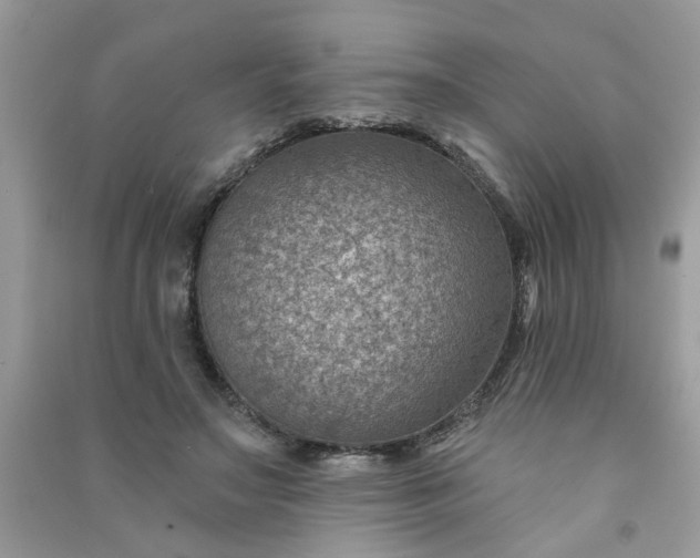 X0000091000499200708161941