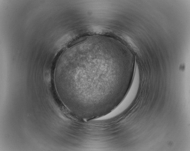 X0000091000500200708161941