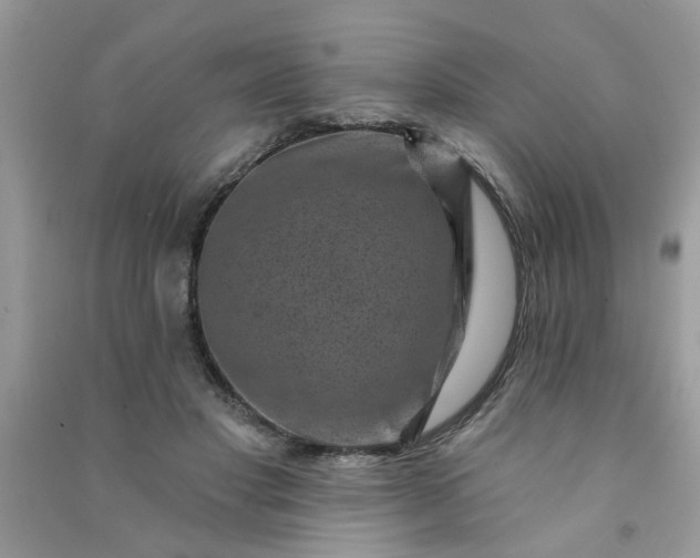 X0000091000501200708161941
