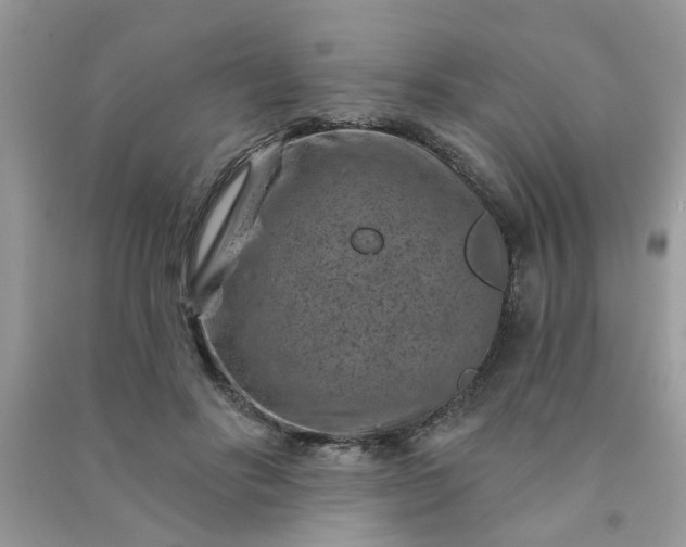 X0000091000502200708161941