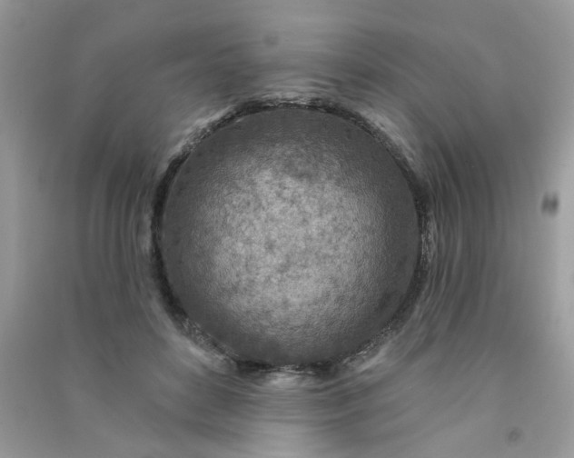 X0000091000504200708161941