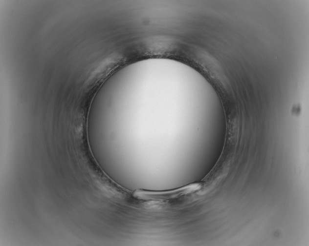 X0000091000505200708161941