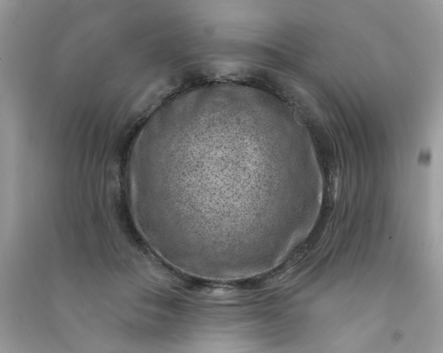 X0000091000506200708161941