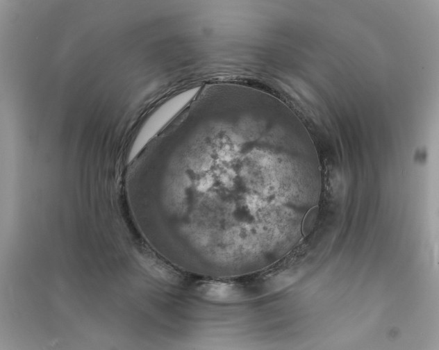 X0000091000507200708161941