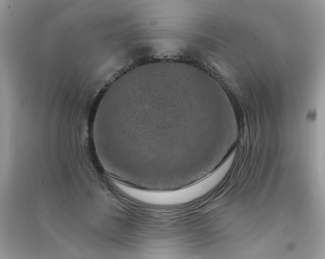 X0000091000508200708161941