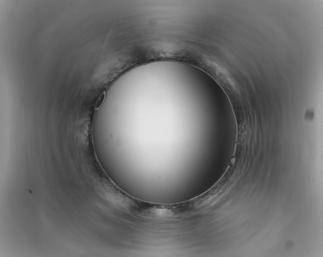 X0000091000509200708161941