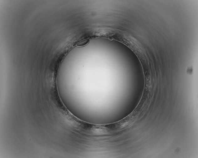 X0000091000510200708161941