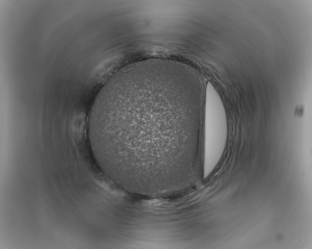 X0000091000511200708161941