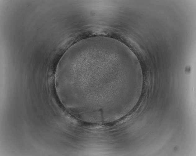 X0000091000513200708161941