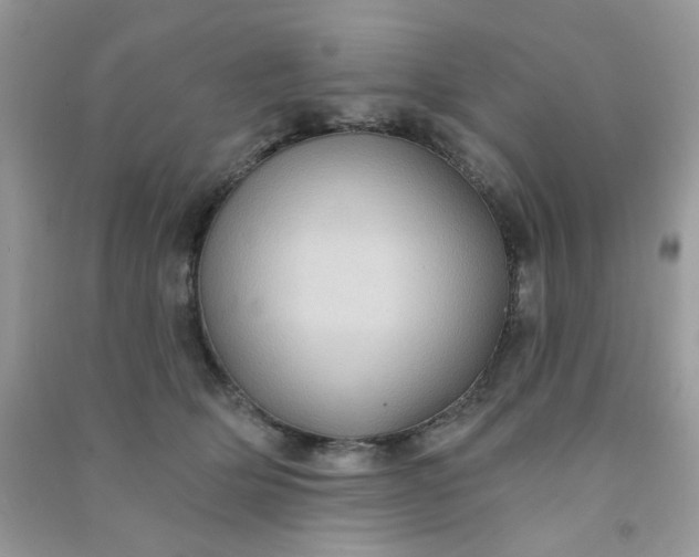 X0000091000514200708161941