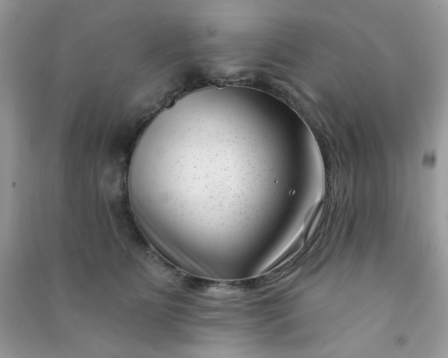 X0000091000515200708161941