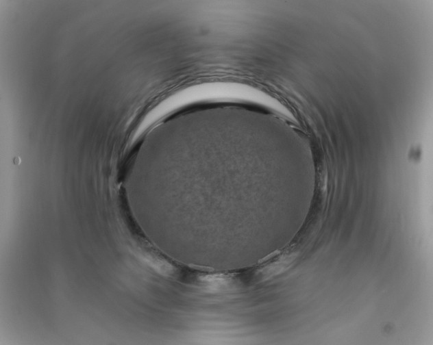X0000091000516200708161941