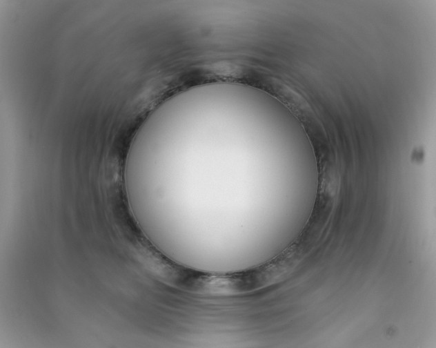 X0000091000518200708161941