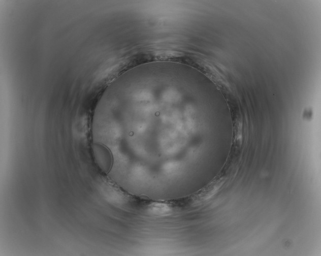 X0000091000519200708161941