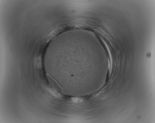 X0000091000520200708161941