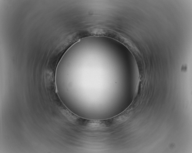 X0000091000521200708161941