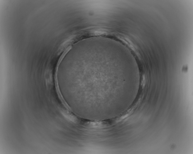 X0000091000524200708161940