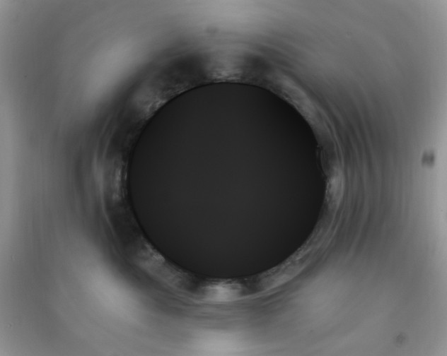 X0000091000525200708161940