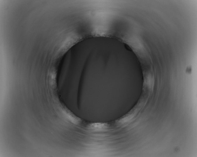 X0000091000526200708161940