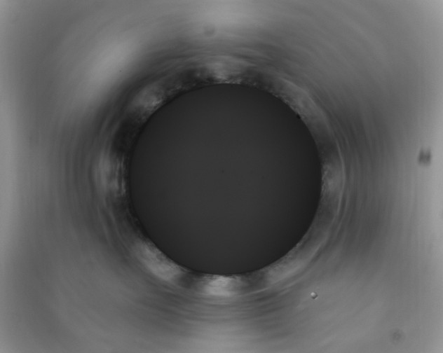 X0000091000527200708161940