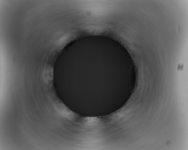 X0000091000528200708161940