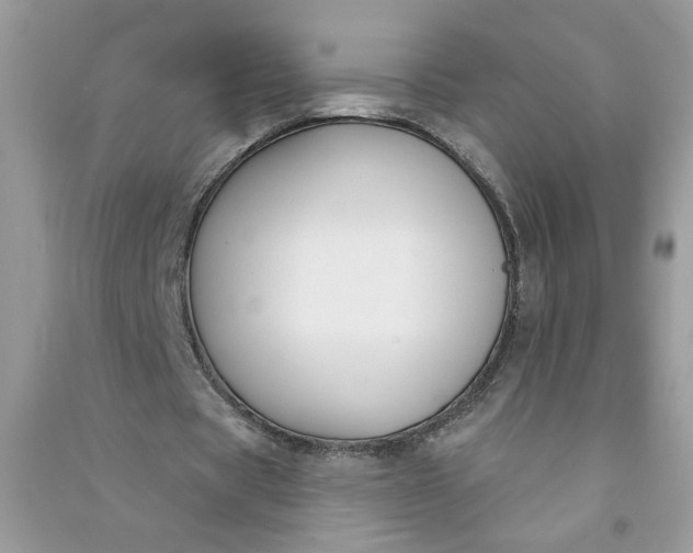 X0000091000529200708161940